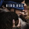 Crítica: Caixa de Pássaros (“Bird Box”) | CineCríticas