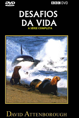 Poster 1 de Série Os Desafios da Vida (1990)