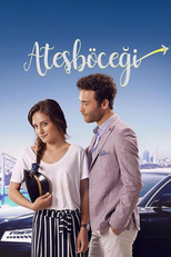 Ateşböceği (Ateşböceği)