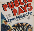 The Public Pays