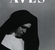 Aves