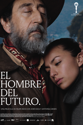 Poster de Filme O Homem do Futuro (2019)