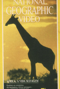 National Geographic Vídeo - África: A Vida Selvagem - Poster / Capa / Cartaz - Oficial 1