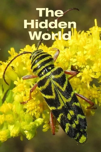 Poster de Filme The Hidden World (1958)