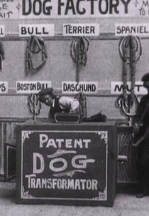 Dog Factory (Dog Factory)