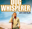 Dog Whisperer