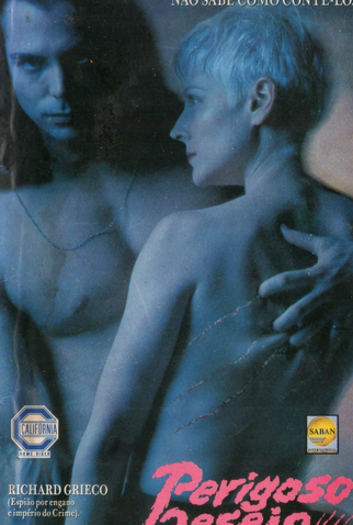 Poster 2 de Filme Perigoso Desejo (1993)