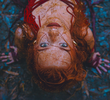 Savage Daughters - Alexia Evellyn