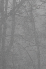 Snowfall and After (Snowfall and After)