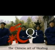 Qi - A Arte Chinesa da Cura