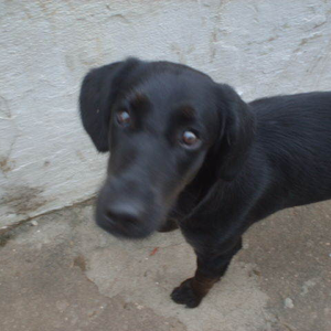 Foto de perfil de clarinha