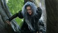Meryl Streep aparece na primeira imagem de INTO THE WOODS | Cinema em Cena | Cinenews