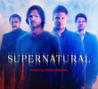 Sobrenatural (10ª Temporada)