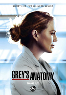 A Anatomia de Grey (17ª Temporada)