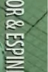 Flor e Espinho (Flor e Espinho)