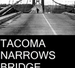Tacoma Narrows Bridge Collapse