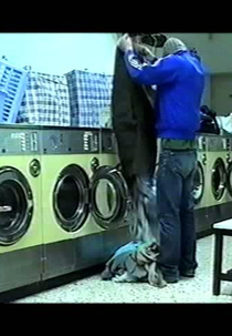 Things I notice, things you see (Things I notice, things you see)