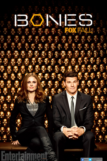 Poster de Série Bones (9ª Temporada) (2013)