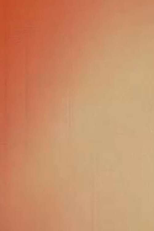 Light Licks: Daily Camera (Light Licks: Daily Camera)