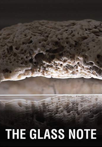 The Glass Note (The Glass Note)