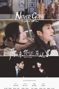Never Gone - Poster / Capa / Cartaz - Oficial 1