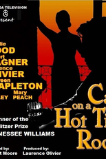 Gata em Teto de Zinco Quente (Cat on a Hot Tin Roof)