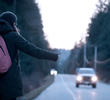 Virtual Hitchhiking