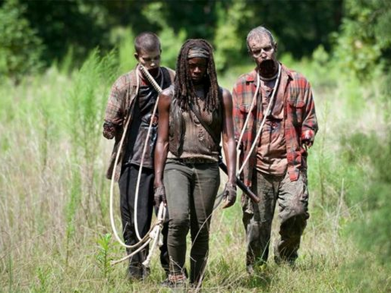 Foto 1 de The Walking Dead (4ª Temporada)