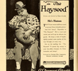 The Hayseed