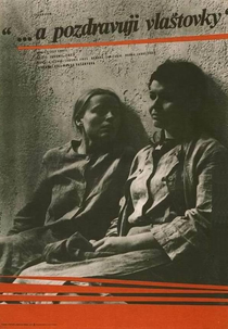 ...And Give My Love to the Swallows (…A pozdravuji vlaštovky)
