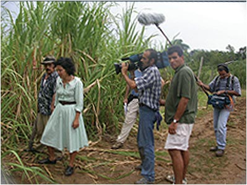 Foto 5 de Codename: Butterflies