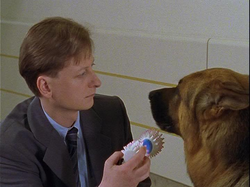 Foto 1 de Rex (3ª Temporada)