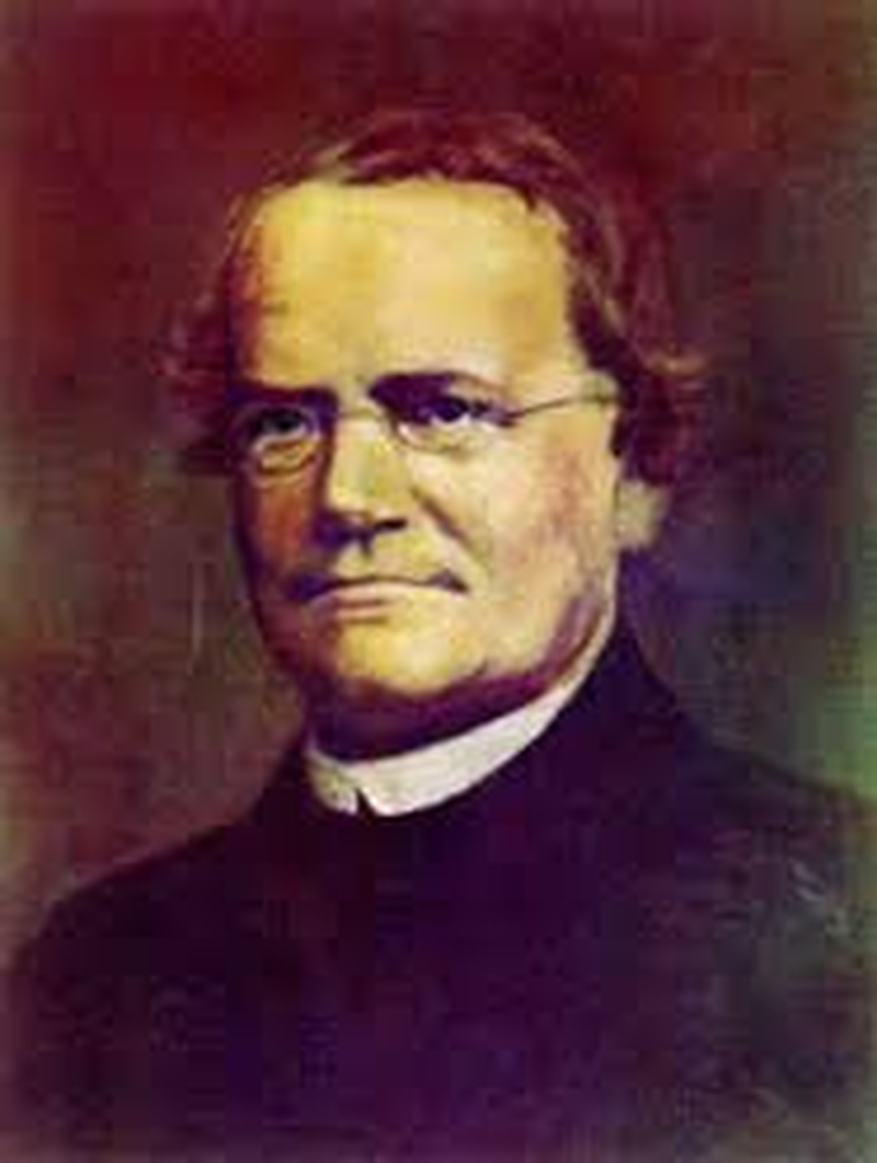 Gregor Johann - Foto 2