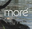 Maré