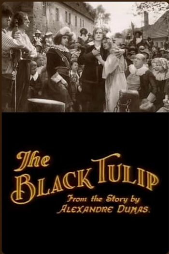 Poster de Filme A Tulipa Negra (1921)