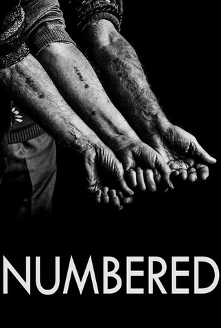 Poster 2 de Filme Numerado (2012)