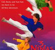 3 Ninjas Contra-Atacam