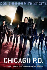 Chicago P.D.: Distrito 21 (1ª Temporada) (Chicago P.D. (Season 1))