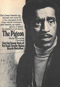 O Pombo (The Pigeon)