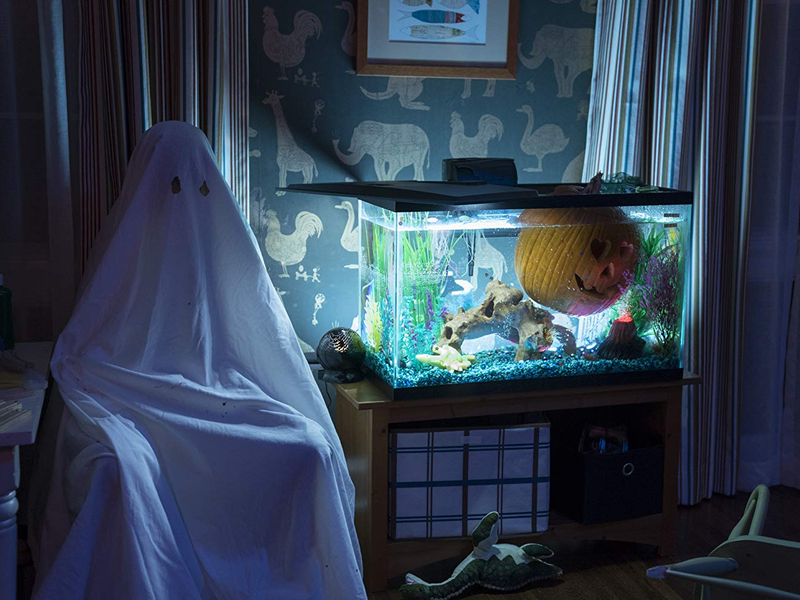 Foto 14 de Halloween