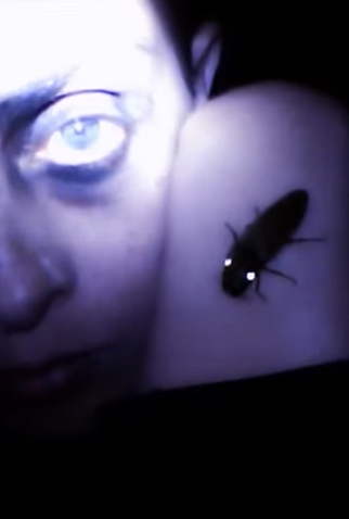 Poster 1 de Curta Escarlatina Obsessiva: Lightning Bug (2012)
