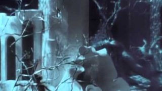 Trailer: mr peabody and the mermaid.