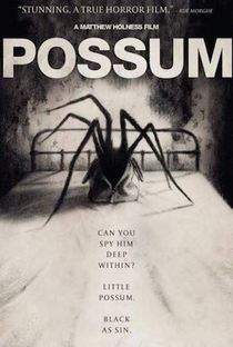 Possum - Poster / Capa / Cartaz - Oficial 2