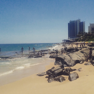 Foto de perfil de Fernanda Fontes
