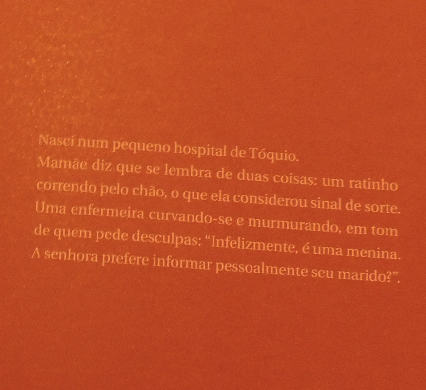 Isabelinha - Foto 6