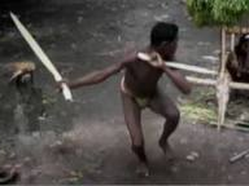 Foto 2 de Virgin Forest 