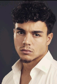 Fabrizio Borsani