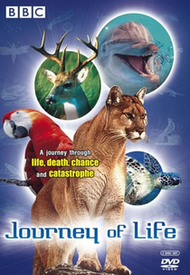 Jornada da Vida (Journey of Life)