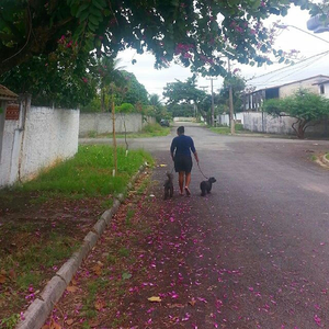 Foto de perfil de Mirian