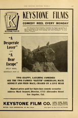 The Detectives (A Bear Escape)